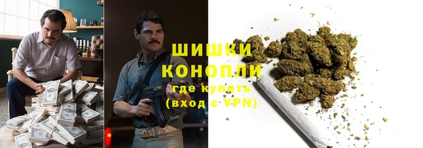 стаф Надым