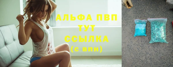 стаф Надым