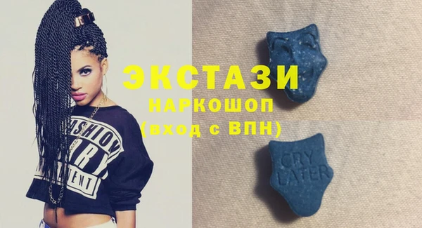 стаф Надым