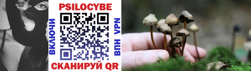 Псилоцибиновые грибы Magic Shrooms  Сычёвка 